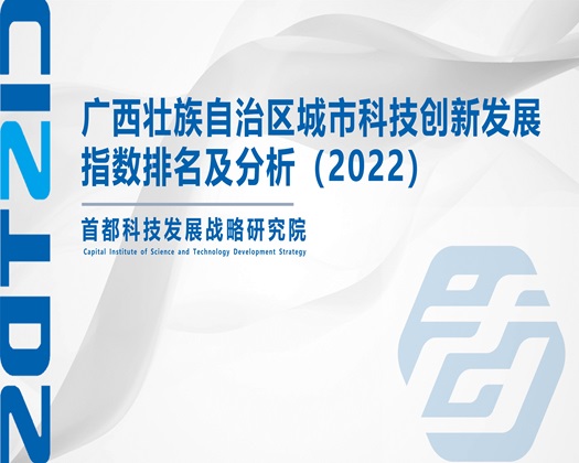 被大鸡吧狠狠干视频【成果发布】广西壮族自治区城市科技创新发展指数排名及分析（2022）